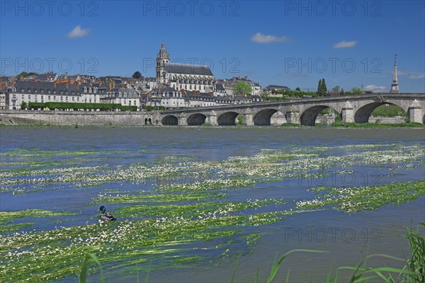 Blois, Indre-et-Loire