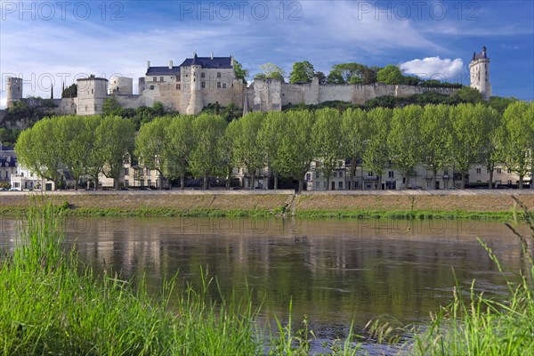 Chinon, Indre-et-Loire