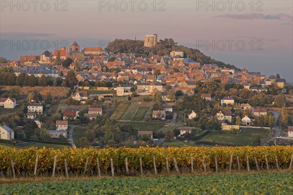 Sancerre, Cher