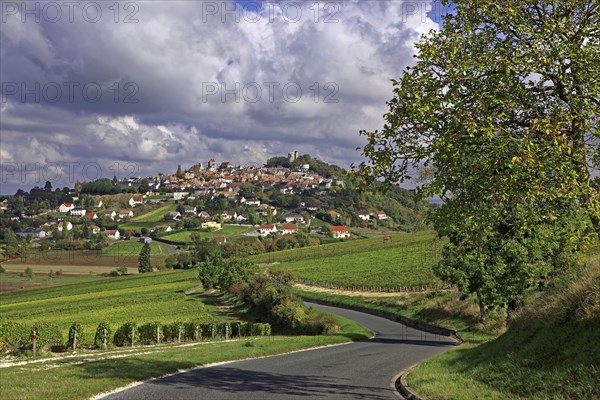 Sancerre, Cher