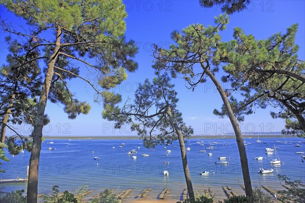 Le Cap-Ferret, Gironde