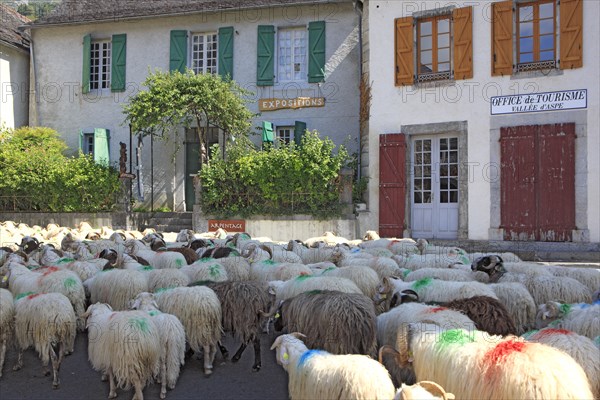 Bedous, Pyrénées-Atlantiques