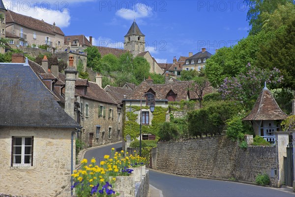 Angles-sur-l'Anglin, Vienne