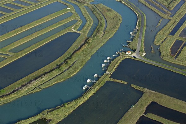 Beauvoir-sur-Mer, Vendée