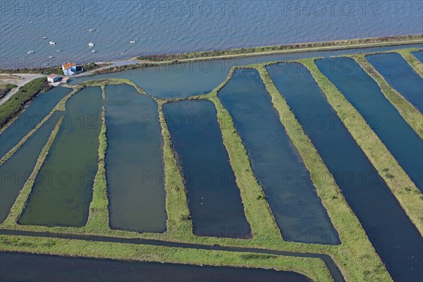 Noirmoutier-en-l'Ile, Vendée