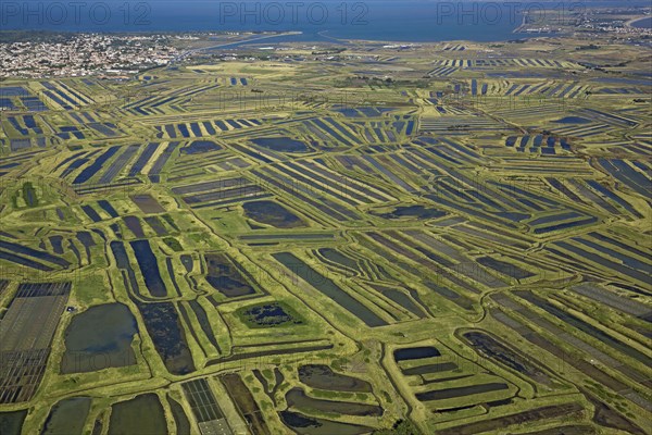 Noirmoutier-en-l'Ile, Vendée