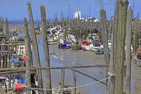 Beauvoir-sur-Mer, Vendée