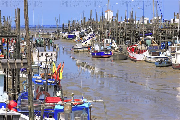 Beauvoir-sur-Mer, Vendée