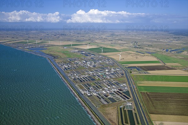 Beauvoir-sur-Mer, Vendée