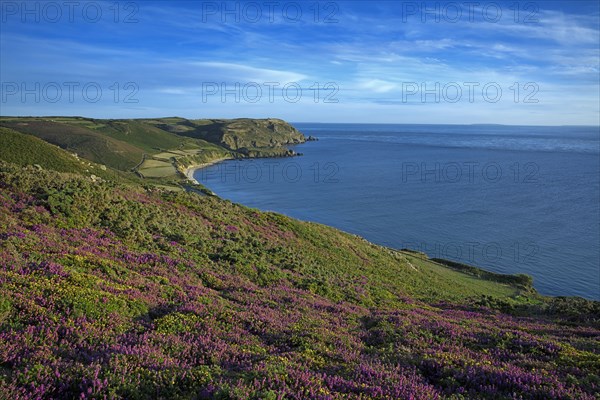 Écalgrain Bay, Manche