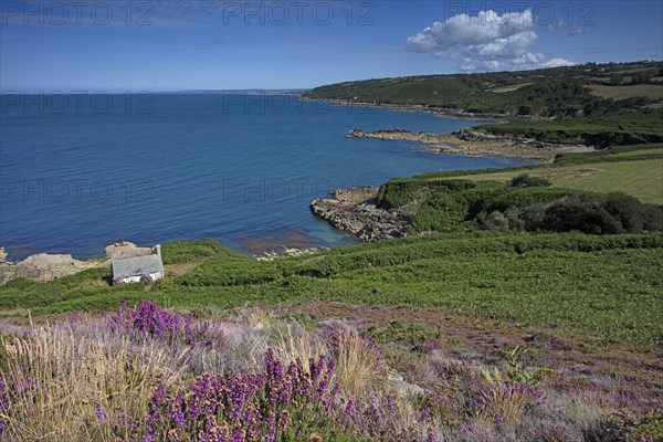 Baie de Quervière, Manche