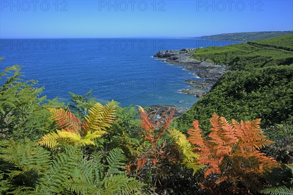 Baie de Quervière, Manche