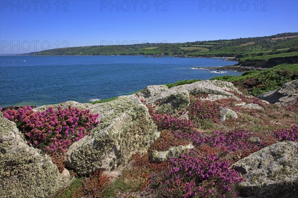 Quervière Bay, Manche