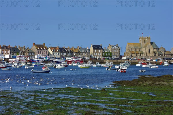 Barfleur, Manche