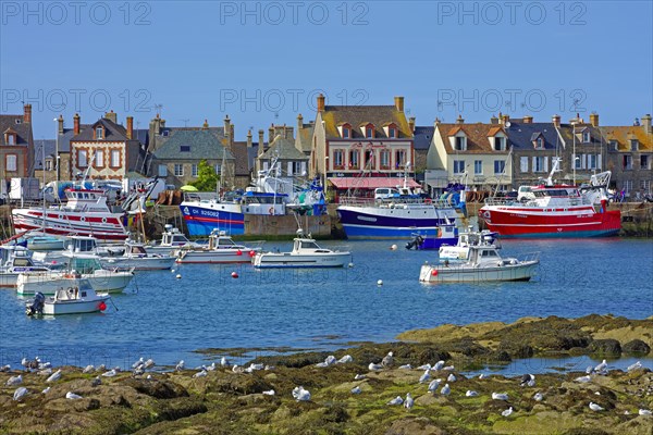 Barfleur, Manche