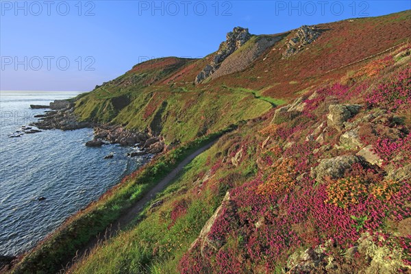 Cap de la Hague, Manche