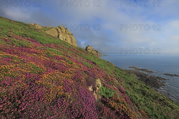 Cap de la Hague, Manche