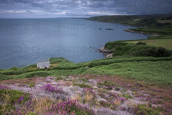 Quervière Bay, Manche