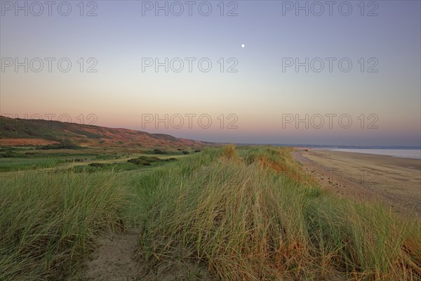 Dune massif at Biville, Manche