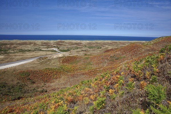 Massif dunaire à Biville, Manche