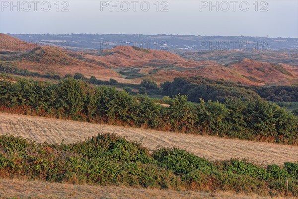 Massif dunaire à Biville, Manche