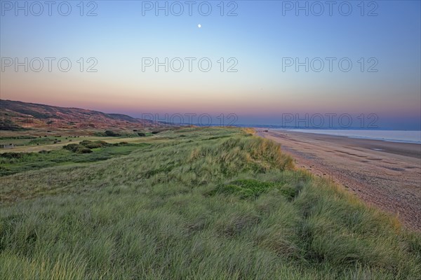 Dune massif at Biville, Manche