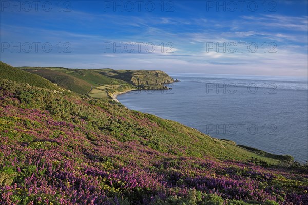 Ecalgrain Bay, Manche