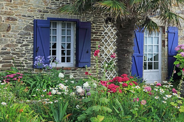 Détail d'une maison fleurie, Manche