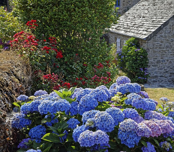 House in bloom, Manche