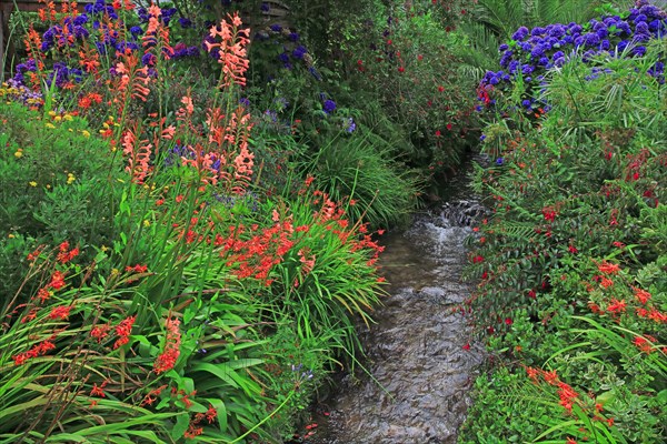 Plants in a botanical garden, Manche