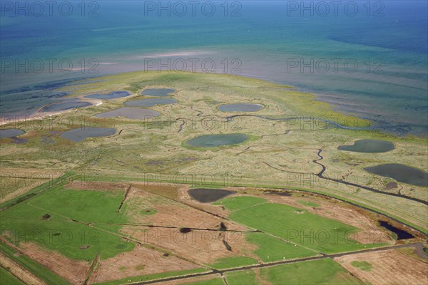 Baie des Veys, Manche