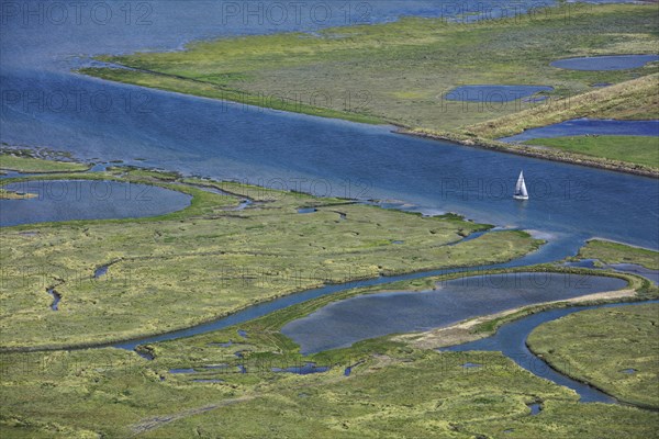 Baie des Veys, Manche