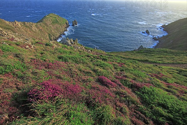 Cap de la Hague, Manche