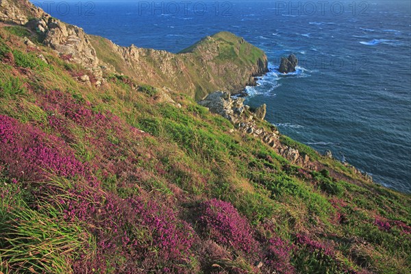 Cap de la Hague, Manche