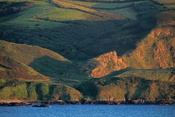 Baie d'Écalgrain, Manche