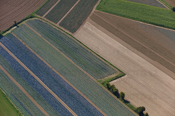 Réville, Manche