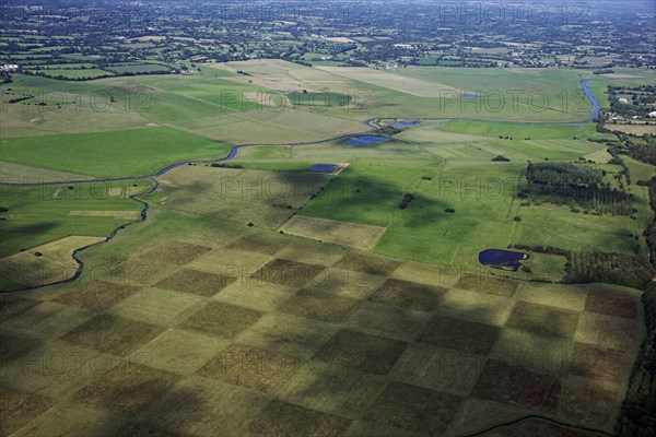 Cotentin and Bessin Marshes Regional Nature Park, Manche