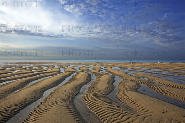 Beach at low tide, Manche