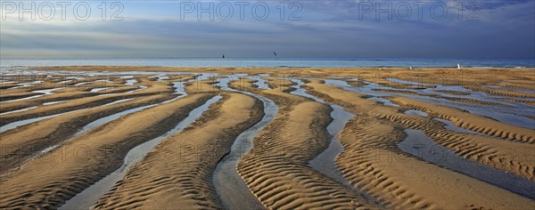 Plage à marée basse, Manche