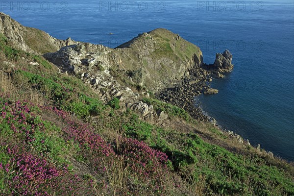 Cap de la Hague, Manche