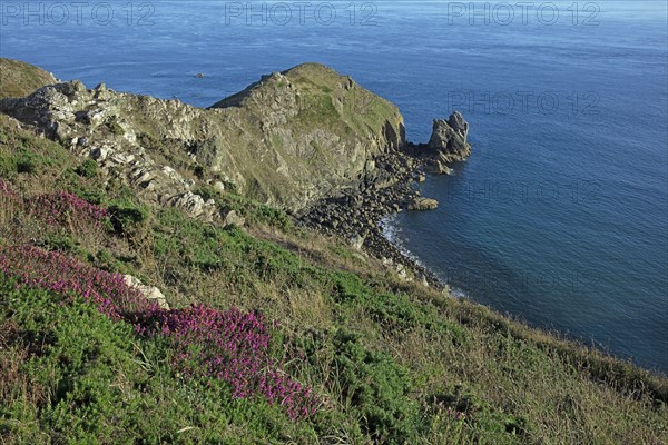 Cap de la Hague, Manche