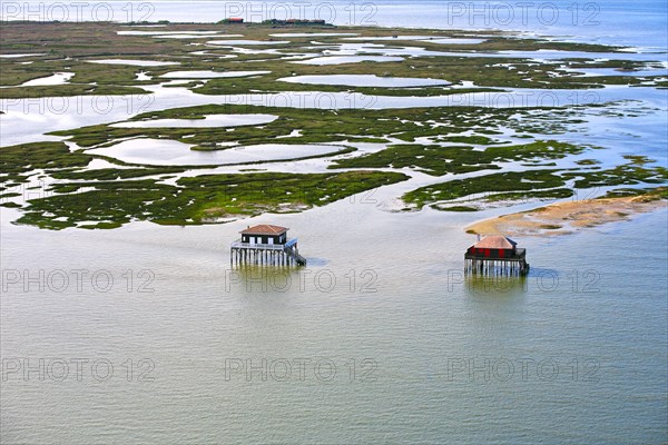 Arcachon, l'ile aux oiseaux, Gironde