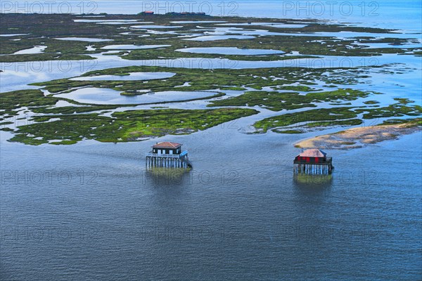 Arcachon, l'ile aux oiseaux, Gironde