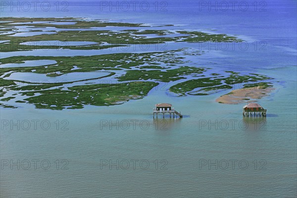 Arcachon, l'ile aux oiseaux, Gironde