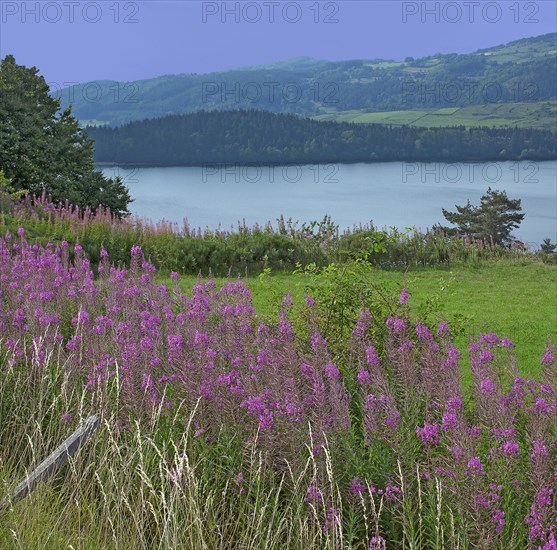 Lac d'Issarlès, Ardèche