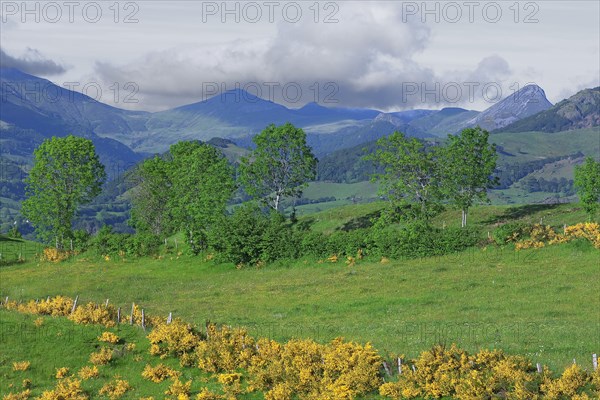 Mandailles-Saint-Julien, Cantal