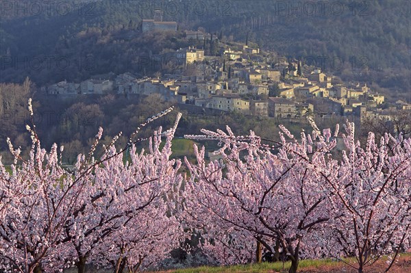 Mirmande, Drôme