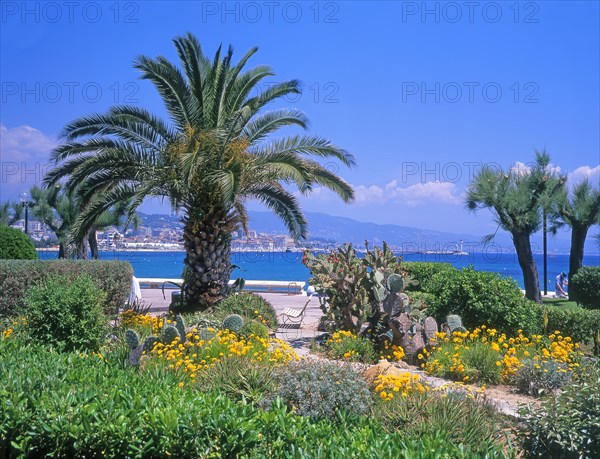 Cannes, Alpes-Maritimes