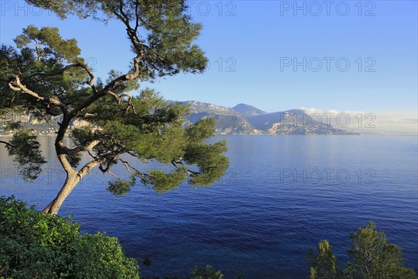 Cap-d'Ail, Alpes-Maritimes