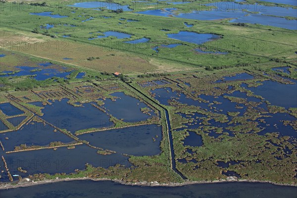 Etang de Bages-Sigean, Aude